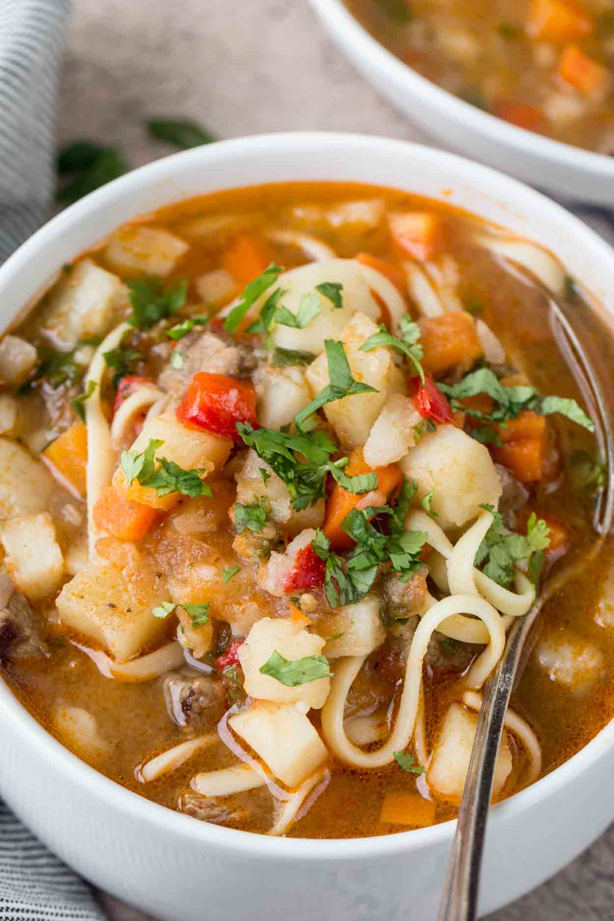 Lagman - meat, potato and vegetable soup
